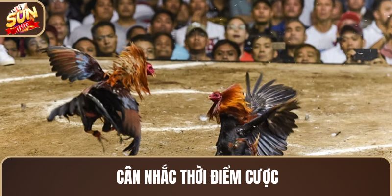 can-nhac-thoi-diem-cuoc