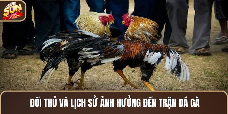 doi-thu-va-lich-su-anh-huong-den-tran-da-ga