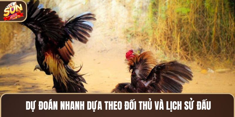 du-doan-nhanh-dua-theo-doi-thu-va-lich-su-dau