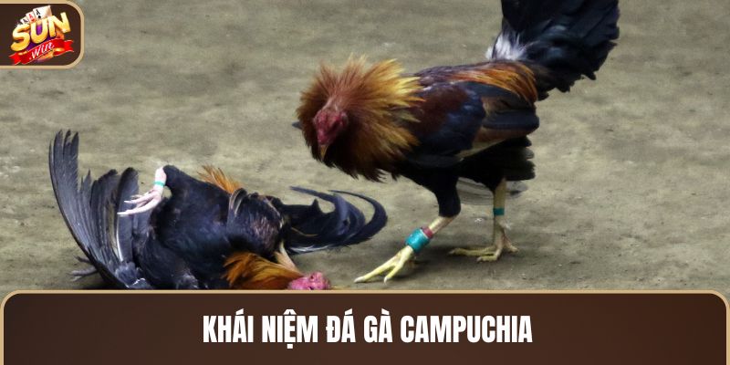 khai-niem-da-ga-campuchia