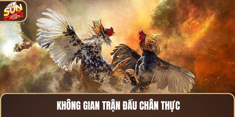 khong-gian-tran-dau-chan-thuc