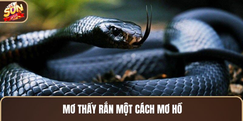 mo-thay-ran-mot-cach-mo-ho