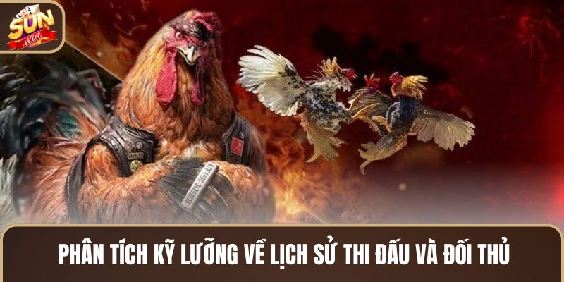 phan-tich-ky-luong-ve-lich-su-thi-dau-va-doi-thu