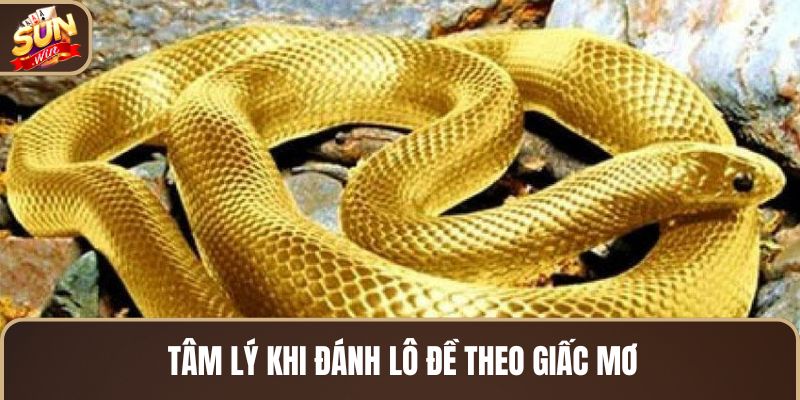 tam-ly-khi-danh-lo-de-theo-giac-mo
