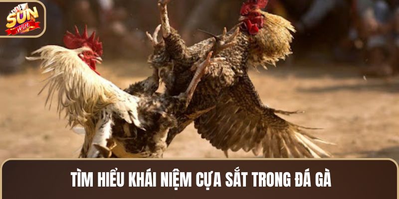 tim-hieu-khai-niem-cua-sat-trong-da-ga