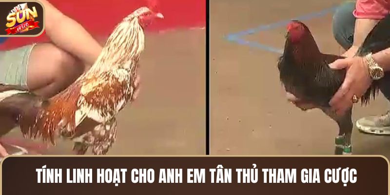 tinh-linh-hoat-cho-anh-em-tan-thu-tham-gia-cuoc