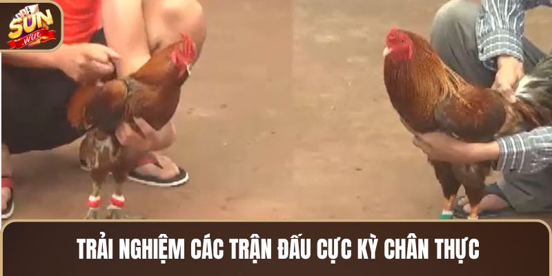 trai-nghiem-cac-tran-dau-cuc-ky-chan-thuc