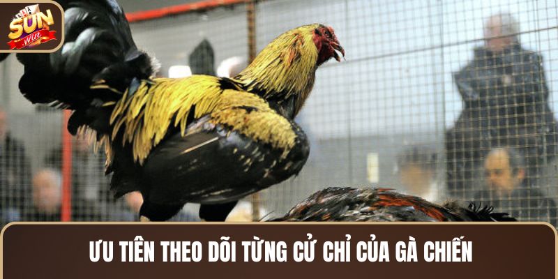 uu-tien-theo-doi-tung-cu-chi-cua-ga-chien